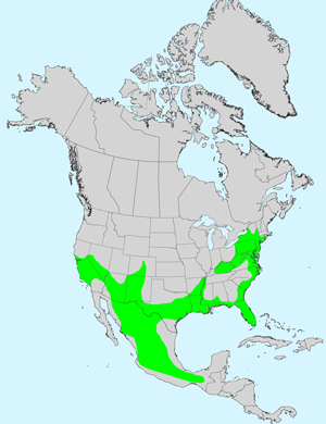 North America species range map for Bidens laevis: Click image for full size map North America species range map for Bidens laevis: Click image for full size map